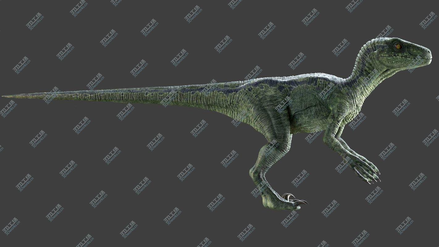 images/goods_img/202104091/Raptor Maya Rig 3D/3.jpg